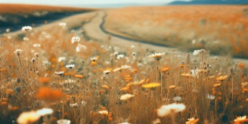 就能到远方这句歌词出自哪首歌？