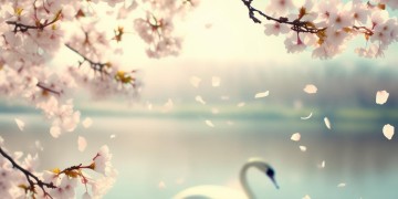 我愿你余生有期盼出自哪首歌？