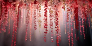 K歌送47朵花代表什么？