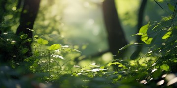 林俊杰跟别人学歌有特定称呼吗？