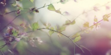 哪些歌曲能唱出想见却见不到的遗憾？