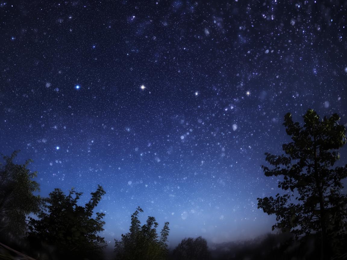 黑夜中的星星到底是哪首歌？