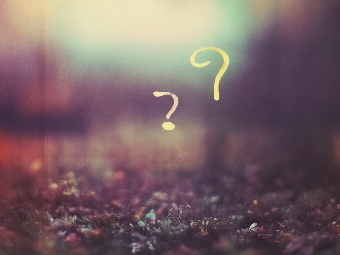你下辈子怎么办出自哪首歌？
