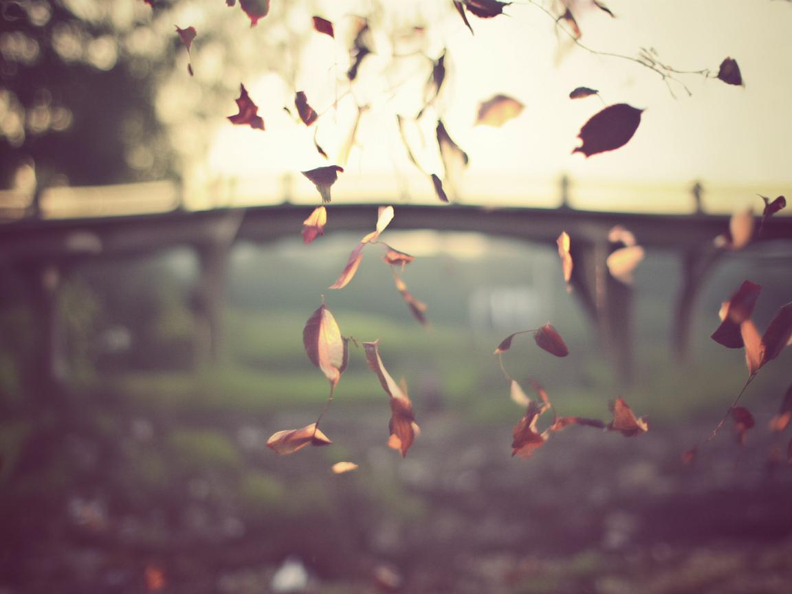 缘分不一定遇见出自哪首歌？