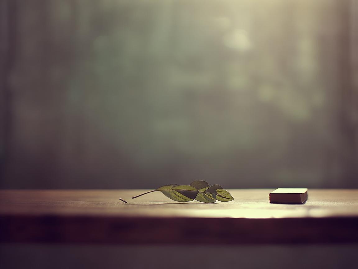 生命中的理所当然究竟是哪首歌？